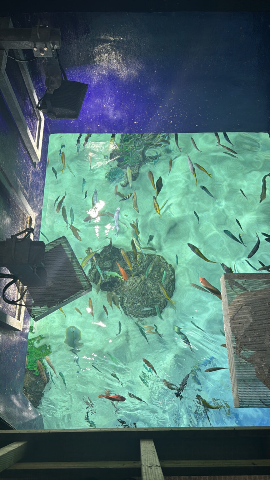 あんブログ 木曜〜！ - 逆いちゃキャバ 新橋 CLUB LOVEST ラベスト