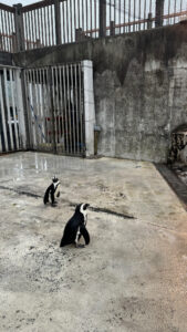 あんブログ 水曜〜！