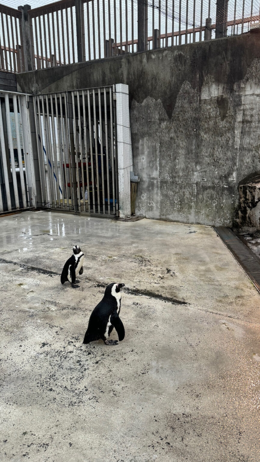 あんブログ 水曜〜！ - 逆いちゃキャバ 新橋 CLUB LOVEST ラベスト