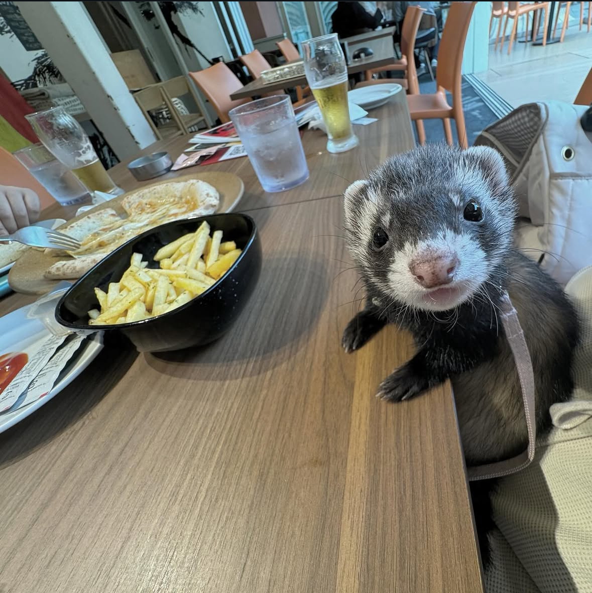 あんブログ イブ❣️ - 逆いちゃキャバ 新橋 CLUB LOVEST ラベスト