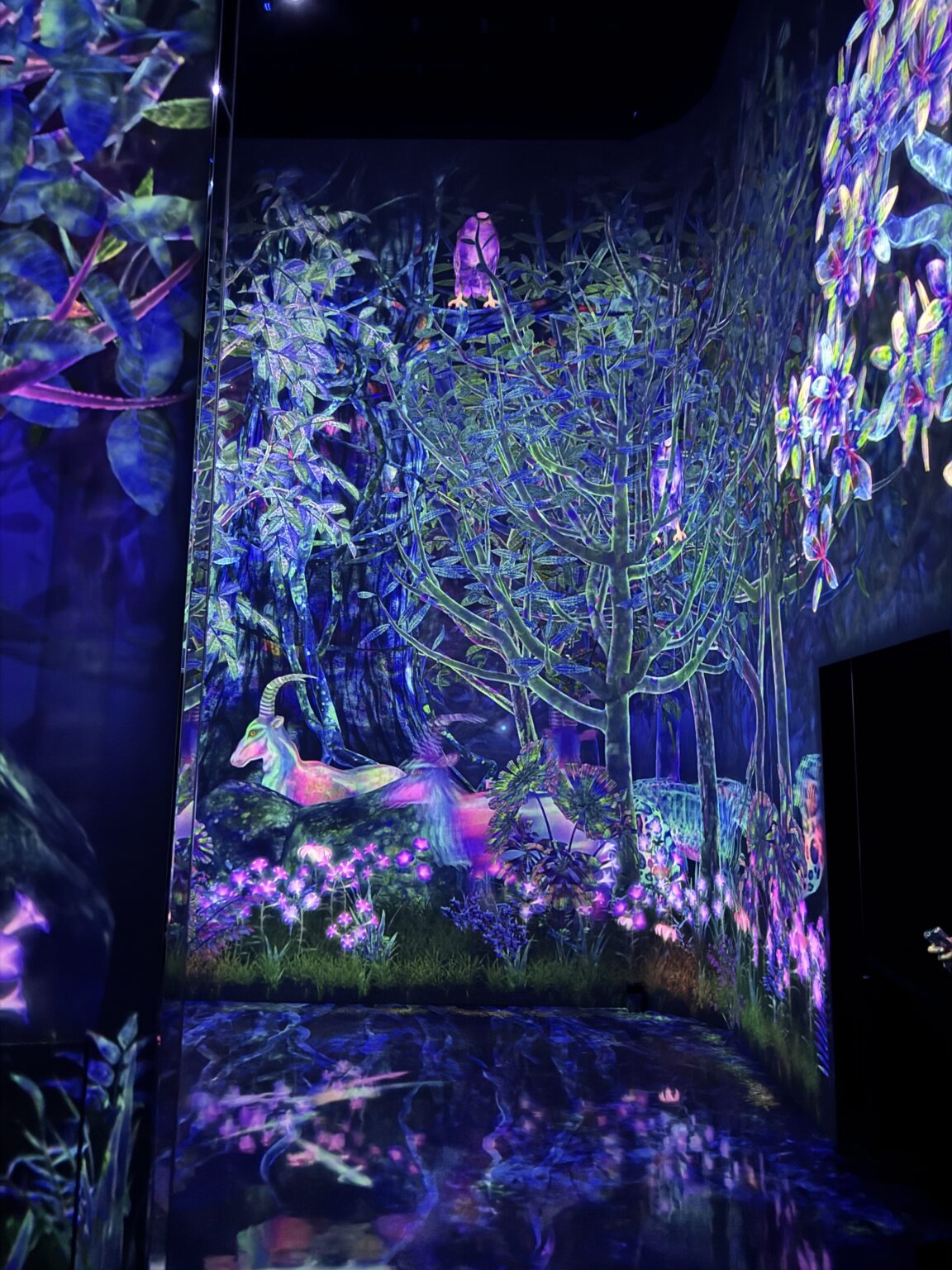 あんブログ バニー - 逆いちゃキャバ 新橋 CLUB LOVEST ラベスト