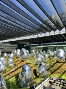 あんブログ 今週ラスト出勤〜