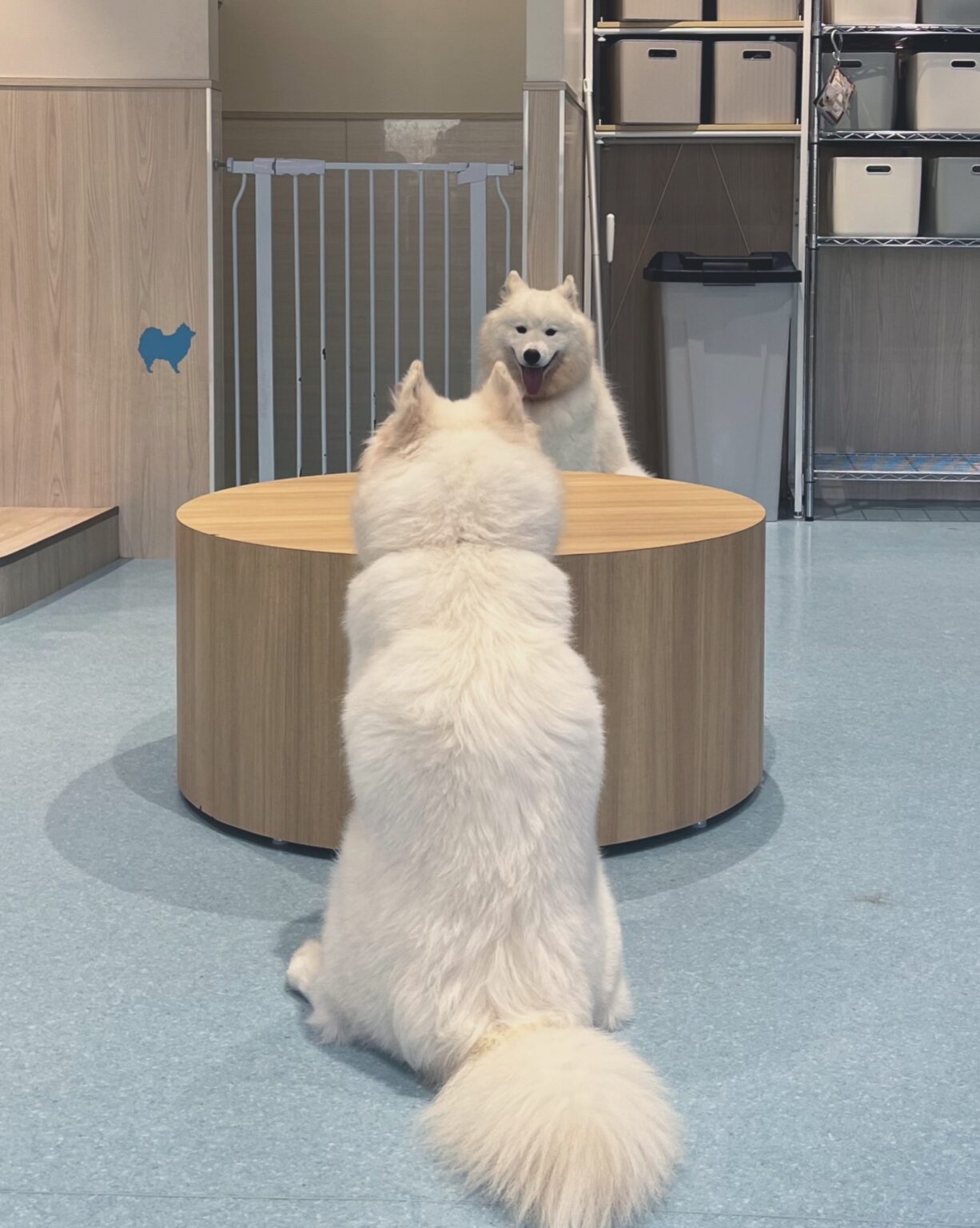 こゆいブログ おはよ~~~^›⩊‹^ - 逆いちゃキャバ 新橋 CLUB LOVEST ラベスト