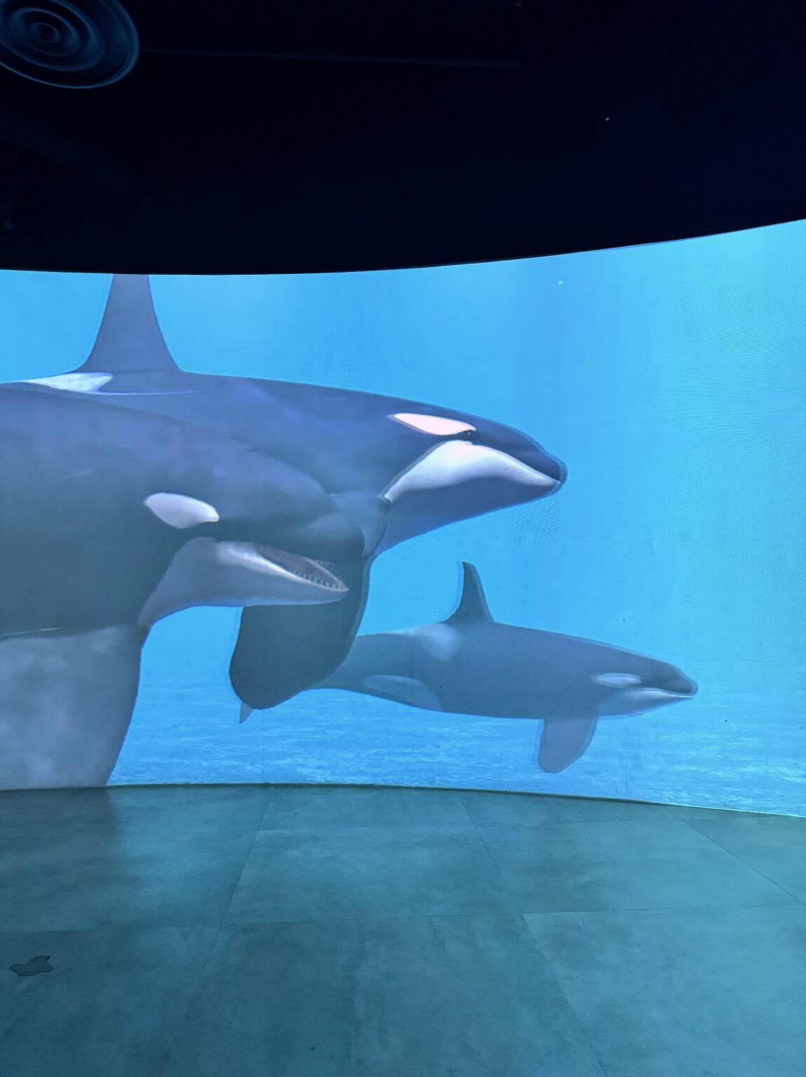 あんブログ 年明け1日目✨ - 逆いちゃキャバ 新橋 CLUB LOVEST ラベスト