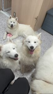 もかブログ こんばんは♡