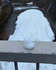 るいブログ わーい