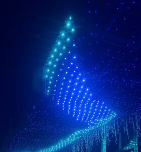こゆいだよｰｰｰ⸝⸝'ᜊ'⸝⸝