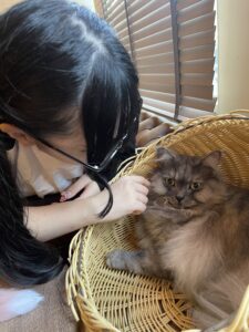 晴れたね☀️