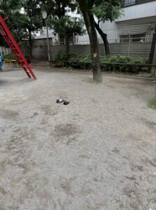 鳩すわってた！
