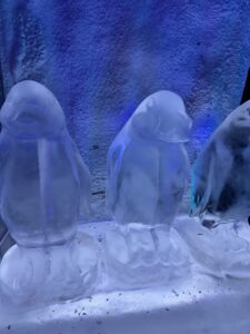凍ってるペンギン